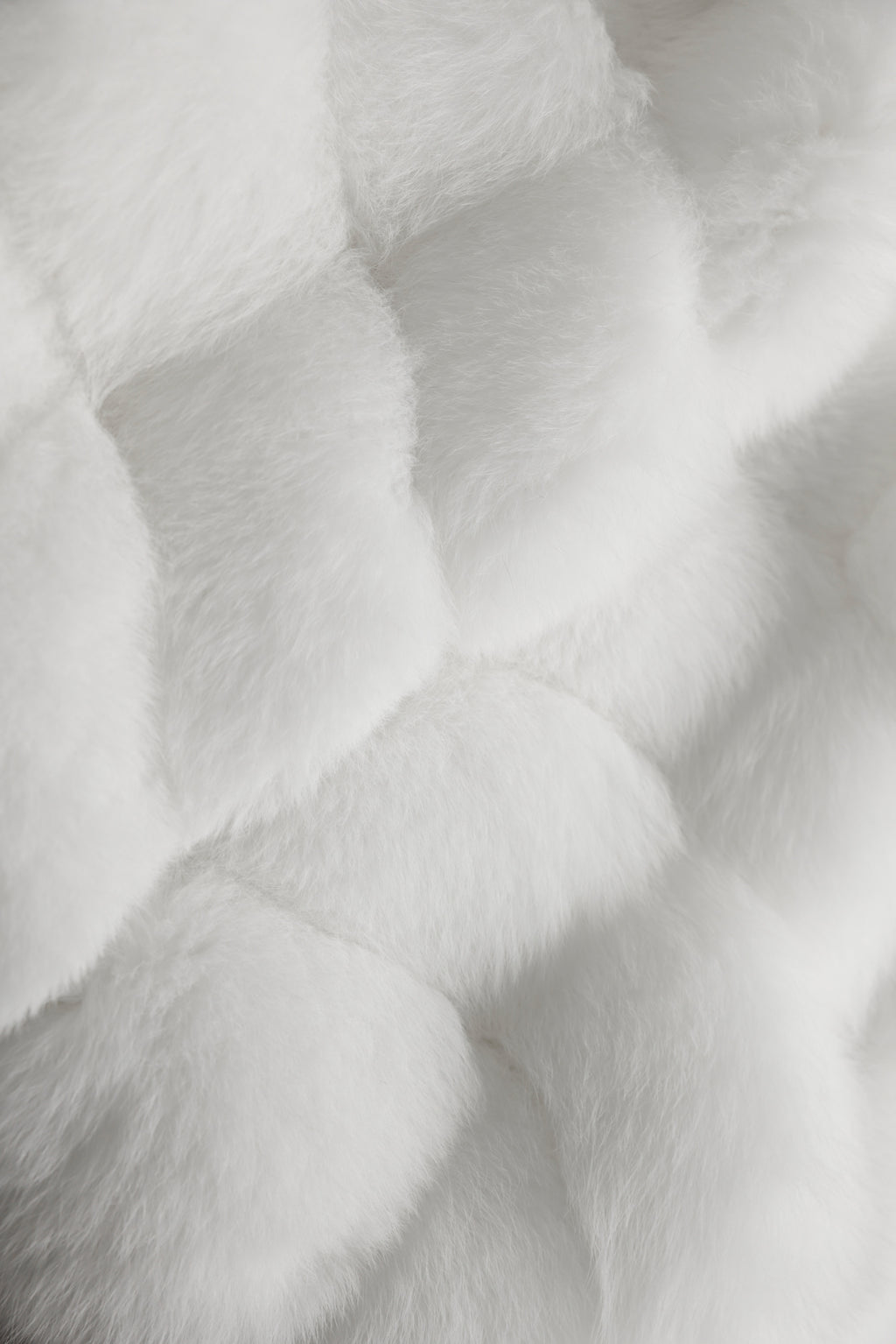Cloud Cropped Fox Vest